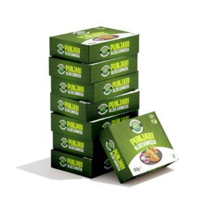 HC Punjabi Aloo Samosa 100g frozen pack